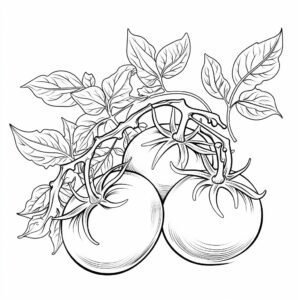 one tomato, outline only, anti-stress coloring book, white background --v 5.2