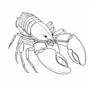 outline only a crayfish, no background, simple graphics, no details, no background, no noise, white full equipment, clean, coloring book for children, black and white --v 5.2