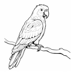 outline only a parrot, no background, simple graphics, no details, no background, no noise, white full equipment, clean, coloring book for children, black and white --v 5.2