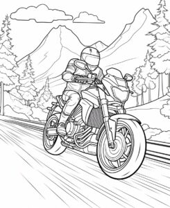 coloring book for children, motorcycle , sports bike, bmw, 2023 model, driving down scenic road, lake in the back ground, Trees , very basic, With passenger, thick line , low detail , no shading --ar 9:11